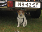 Sam bewaakt de camper