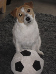 Zullen we met de bal spelen?