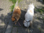 Snuffelen!!!