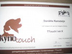workshop t touch