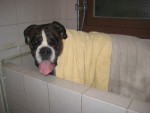 Sepp