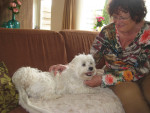 Massage uitleggen aan bazin van Lucky
