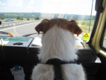 Sam in de camper in Frankrijk
